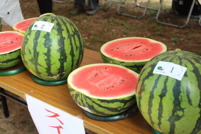 丹波篠山市大山地区「大山スイカ」の季節がやってきましたのメイン画像