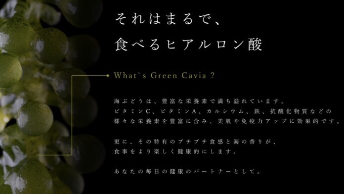 閉鎖循環式室内養殖による海ぶどう（伊勢志摩産）の生産・販売を開始のメイン画像