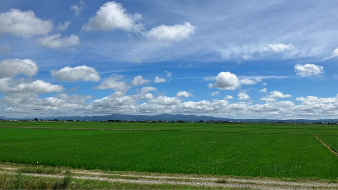 【提言】食料安全保障の長期ビジョン　2050年・日本の農業が目指すべき状態のメイン画像