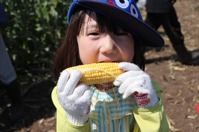 生とうもろこしまるかじり　昭和村で農業体験　7月27日（土）〔群馬〕のメイン画像