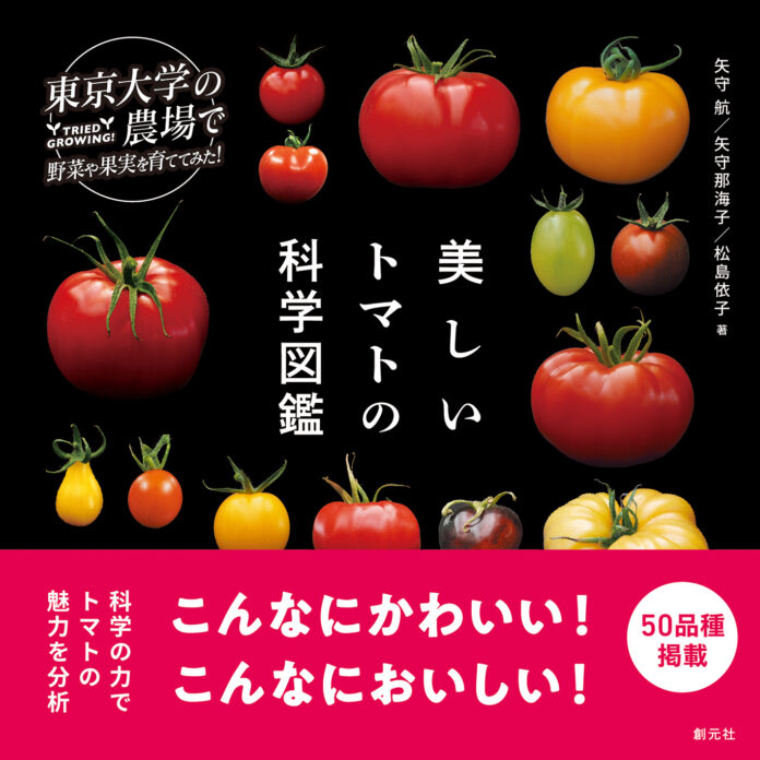 東京大学の農場でトマトを育てて分析してみた！『美しいトマトの科学図鑑』発売。のメイン画像