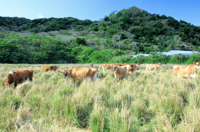 ZEROCO社、農業生産法人JAPAN FARM PARTNERと共に、生鮮食品の安定した在庫保管を軸にした新しいバリューチェーンの構築へのメイン画像