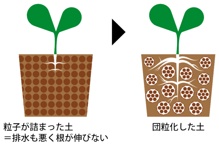 【夏の干ばつ対策にも】土壌保水率アップ！作物を育てる理想の環境「隙間6割の団粒構造」を瞬時に作り出す「EB-a（イービーエー）」を販売開始のメイン画像