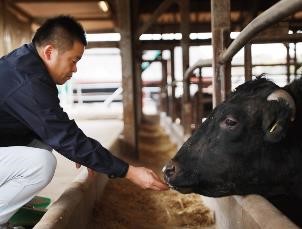 〈愛知・大府〉また食べたくなる黒毛和牛”下村牛”が、みかわ牛「最優秀賞」を連続受賞！のサブ画像3_下村牧場①