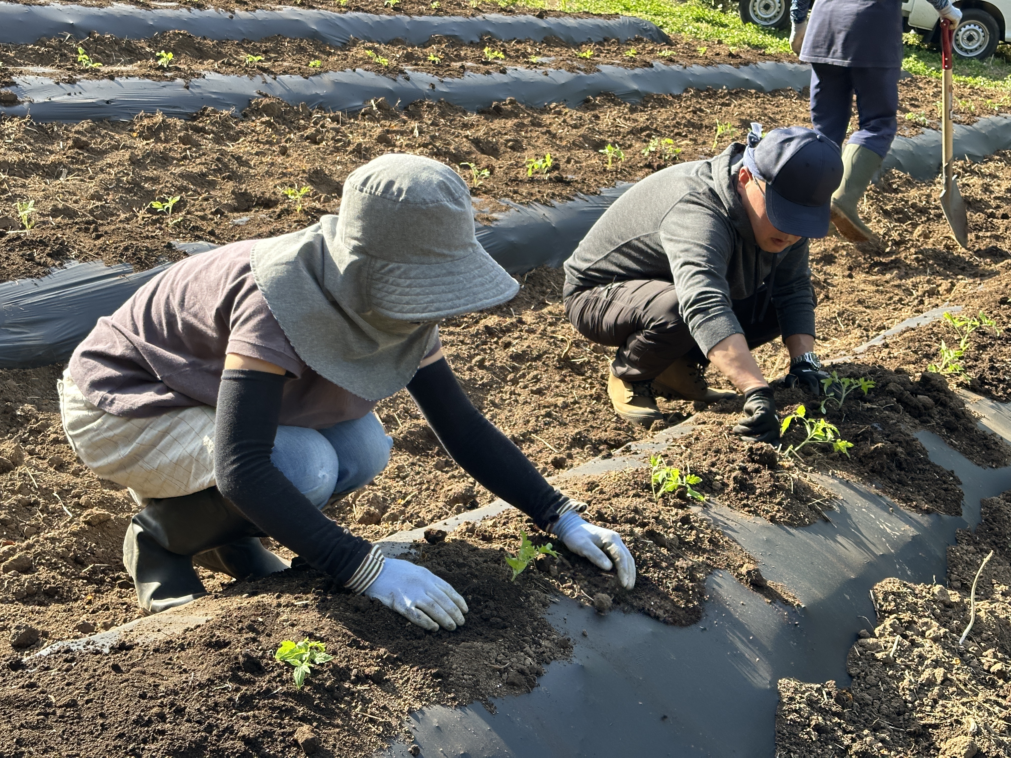 長野県産の加工用トマト生産を持続可能にする取組み「計画的労働参加30周年記念集会」開催のサブ画像5