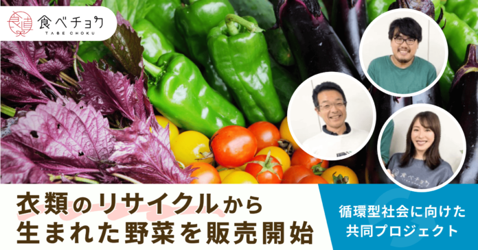 食べチョク、衣類の再利用堆肥で育てた野菜を販売開始。鴨志田農園・ピエクレックス社との連携により実現。のメイン画像