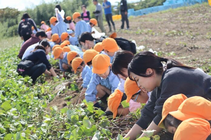 国際こども・福祉カレッジ【グループ企業コラボ授業】こどもたちとの芋掘り体験で深める保育の実践力！のメイン画像