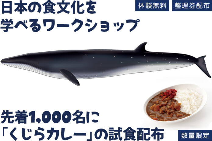 親子で鯨の持続的利⽤や鯨食文化を学ぶ「たべるくじらのがっこう」を横浜みなとみらいで開催のメイン画像