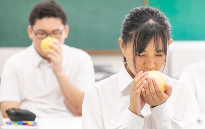 東大共同研究の知見を活かしたセントマティック「香りの授業」　鳥取県立智頭農林高校にて初開催のメイン画像