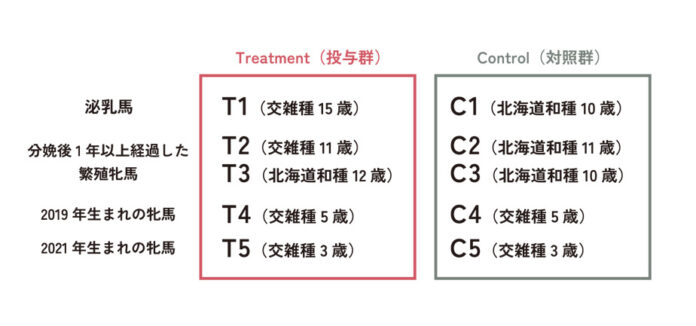 帯広畜産大学、紀州ほそ川飼料による『抗酸化作用を有する競走馬用梅抽出物補助飼料が、北海道和種およびその交雑種の血液生化学的性情および吸引卵子成熟率に及ぼす影響』の演題発表。【Vitav（バイタブ）】のメイン画像