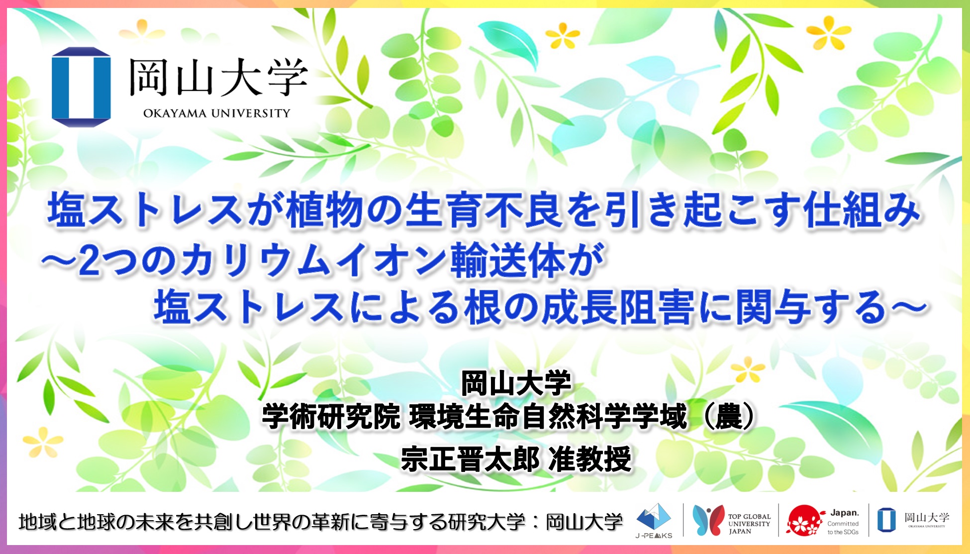 【岡山大学】塩ストレスが植物の生育不良を引き起こす仕組み －2つのカリウムイオン輸送体が塩ストレスによる根の成長阻害に関与する－のサブ画像1