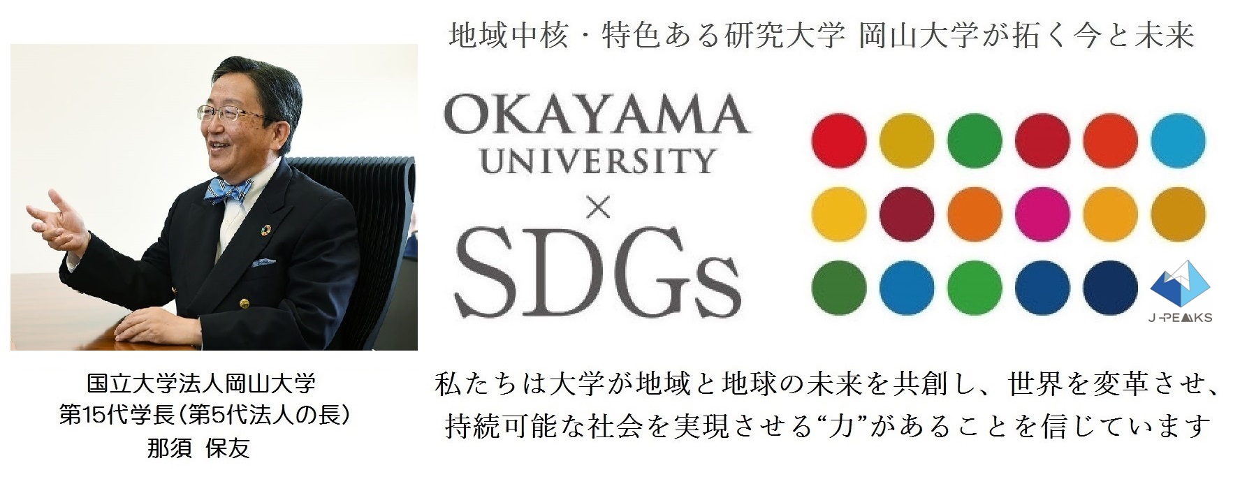 【岡山大学】玉ねぎに含まれるポリフェノールの細胞保護作用とその分子機構を解明〜二日酔いの症状軽減やアルコール性疾患の予防効果に期待〜のサブ画像5