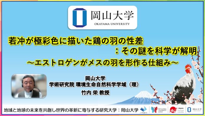 【岡山大学】若冲が極彩色に描いた鶏の羽の性差：その謎を科学が解明 ～エストロゲンがメスの羽を形作る仕組み～のメイン画像