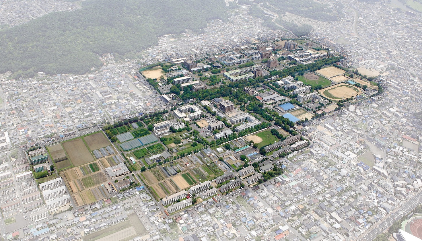 【岡山大学】若冲が極彩色に描いた鶏の羽の性差：その謎を科学が解明 ～エストロゲンがメスの羽を形作る仕組み～のサブ画像5_岡山大学津島キャンパス（岡山市北区）