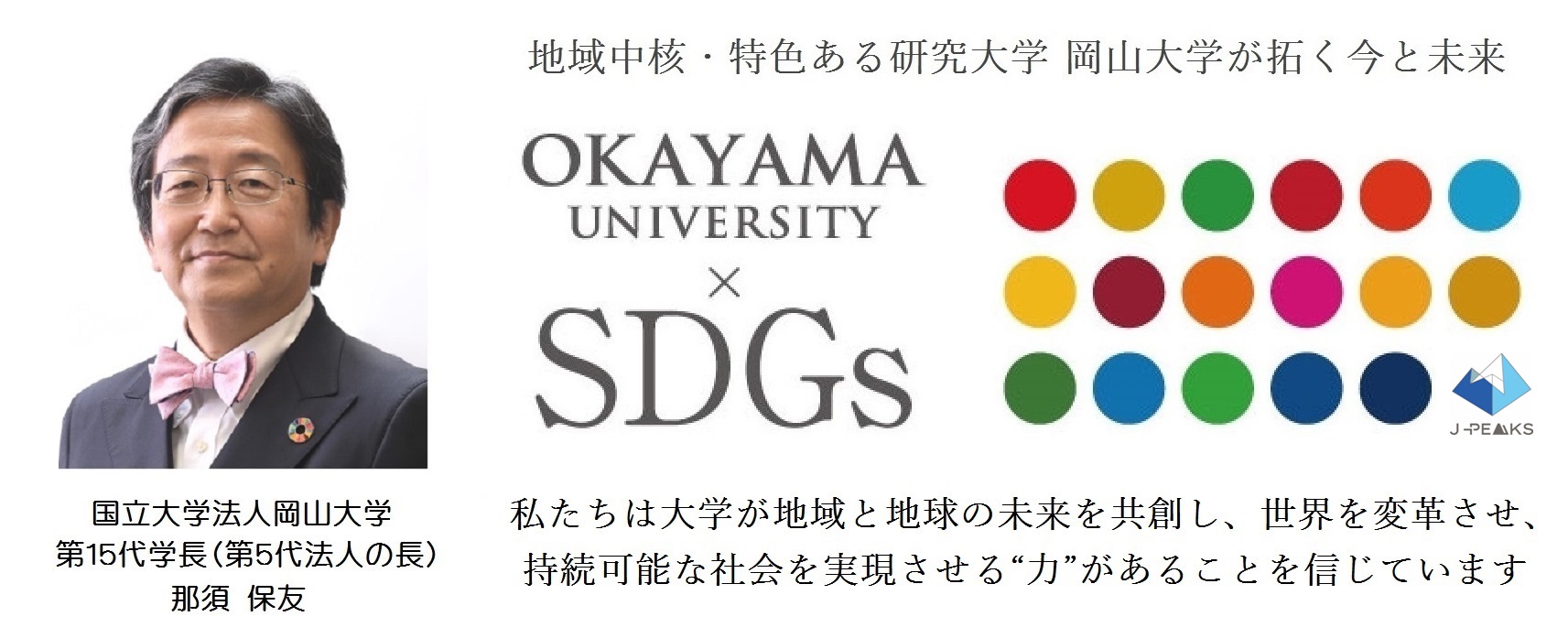 【岡山大学】若冲が極彩色に描いた鶏の羽の性差：その謎を科学が解明 ～エストロゲンがメスの羽を形作る仕組み～のサブ画像7