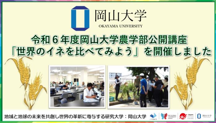 【岡山大学】令和6年度岡山大学農学部公開講座「世界のイネを比べてみよう」を開催しましたのメイン画像