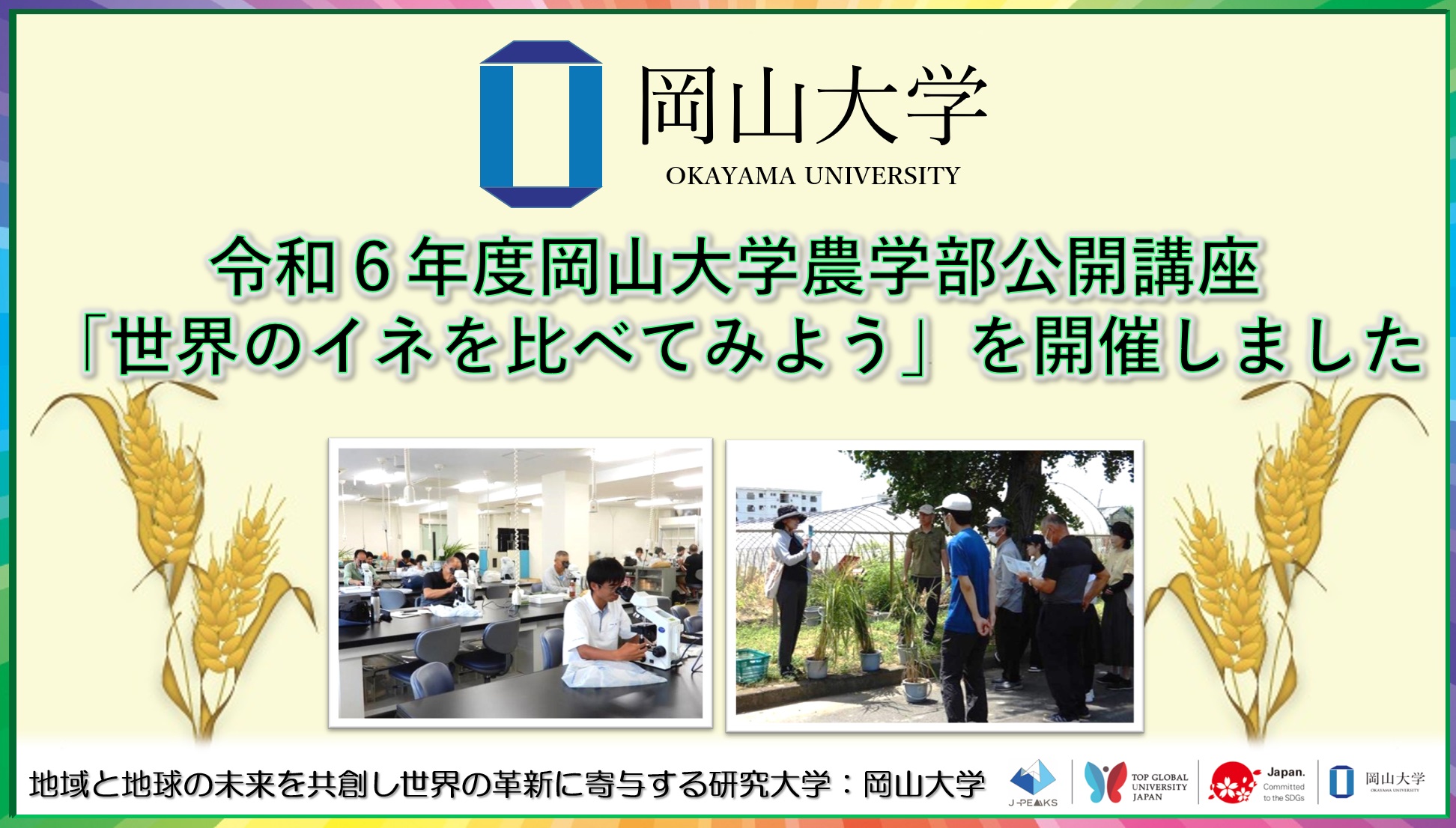 【岡山大学】令和6年度岡山大学農学部公開講座「世界のイネを比べてみよう」を開催しましたのサブ画像1