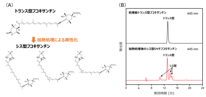 シス型フコキサンチンの高い紫外線遮蔽作用を実証！のサブ画像1