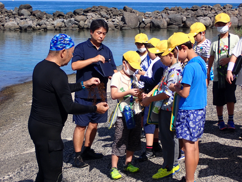 小浜港にて、泊小学校の児童が海の学習を実施！のサブ画像3