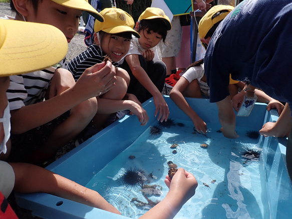 小浜港にて、泊小学校の児童が海の学習を実施！のサブ画像4