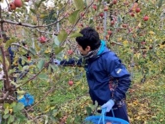 農業労働力確保と地域交流人口拡大を目指した地域・企業連携「援農プログラム」を実施しますのサブ画像2