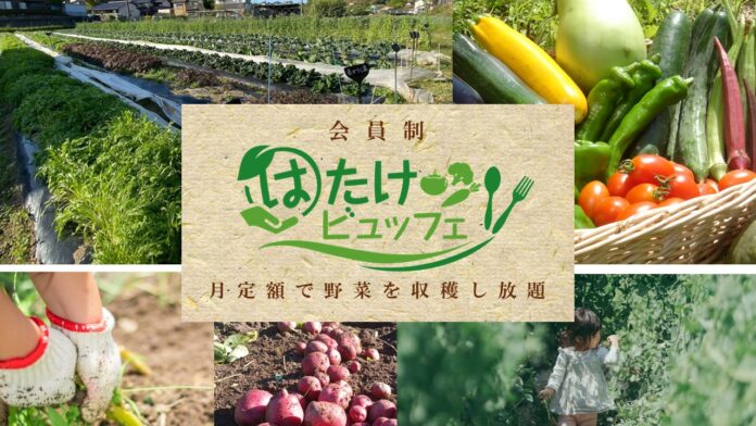 野菜採り放題サービスで農家の労働時間が半分になる「農業✕サブスク」全国6県に拡大＜千葉市・相模原市・日進市・小林市オープン＞のメイン画像