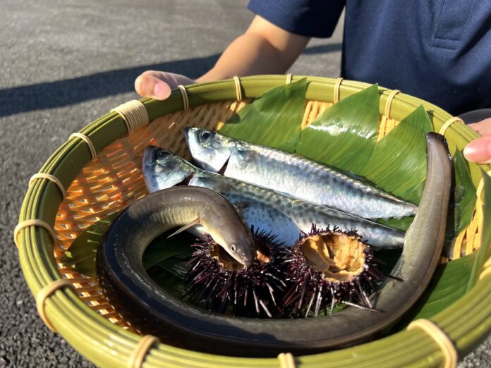 おふろcafe 白寿の湯にて「温泉サバ陸上養殖場」のサバ出荷祭り。埼玉の養殖事業者コラボによる「うに、うなぎ、さば」を使った限定メニューを販売のメイン画像