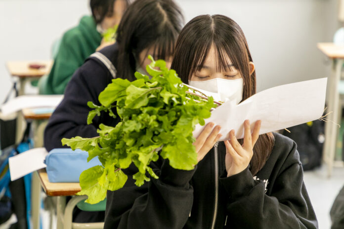 セントマティック「香りの授業」、札幌静修高校にて初開催のメイン画像