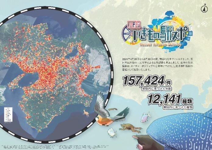 【結果報告】「関西いきもの駅スポ」を通じ15万件以上の生物発見データ収集を実現！のメイン画像