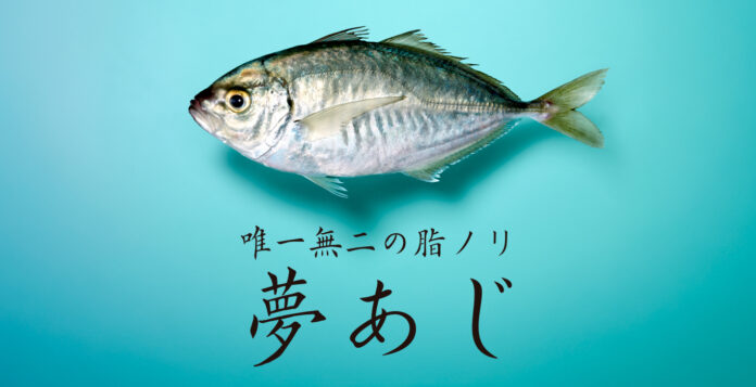 さかなドリーム、世界初の養殖魚「夢あじ」50尾限定の第2回テスト販売を2025年1月7日（火）よりサカナバッカ中目黒で実施のメイン画像