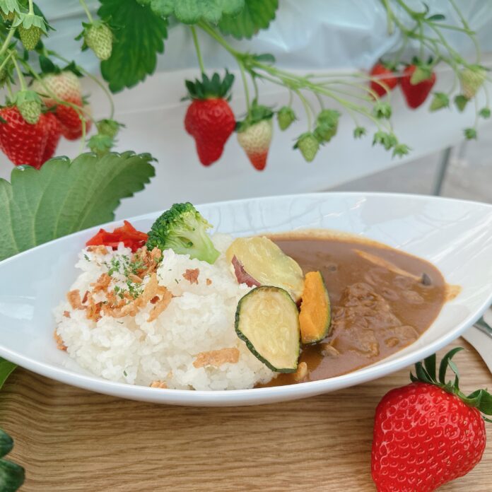 滋賀県守山市のいちご農園が「いちご農園の本格いちごカレー」を新発売！のメイン画像