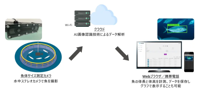 i-ocean、「AI魚体サイズ測定カメラ」の機能をアップデートのメイン画像