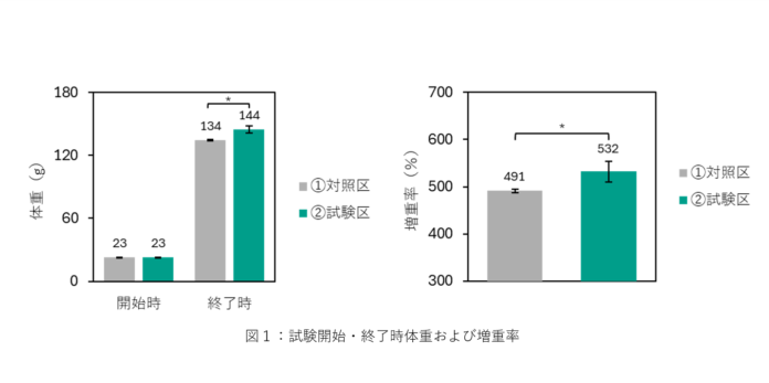 ユーグレナ配合飼料の給与によりカンパチ稚魚の成長と自然免疫能が向上する可能性を確認しましたのメイン画像