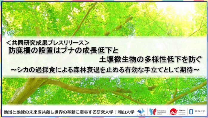 防鹿柵の設置はブナの成長低下と土壌微生物の多様性低下を防ぐ～シカの過採食による森林衰退を止める有効な手立てとして期待～〔九州大学, 宮崎大学, 岡山大学〕のメイン画像