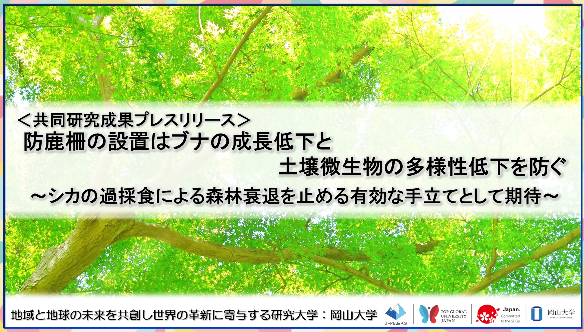 防鹿柵の設置はブナの成長低下と土壌微生物の多様性低下を防ぐ～シカの過採食による森林衰退を止める有効な手立てとして期待～〔九州大学, 宮崎大学, 岡山大学〕のサブ画像1