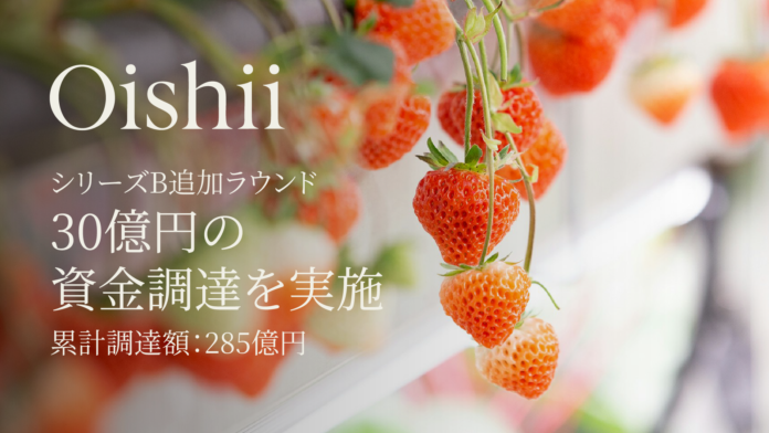 Oishii Farm、シリーズB追加ラウンドで30億円の資金調達を実施 〜累計調達額は285億円に〜のメイン画像