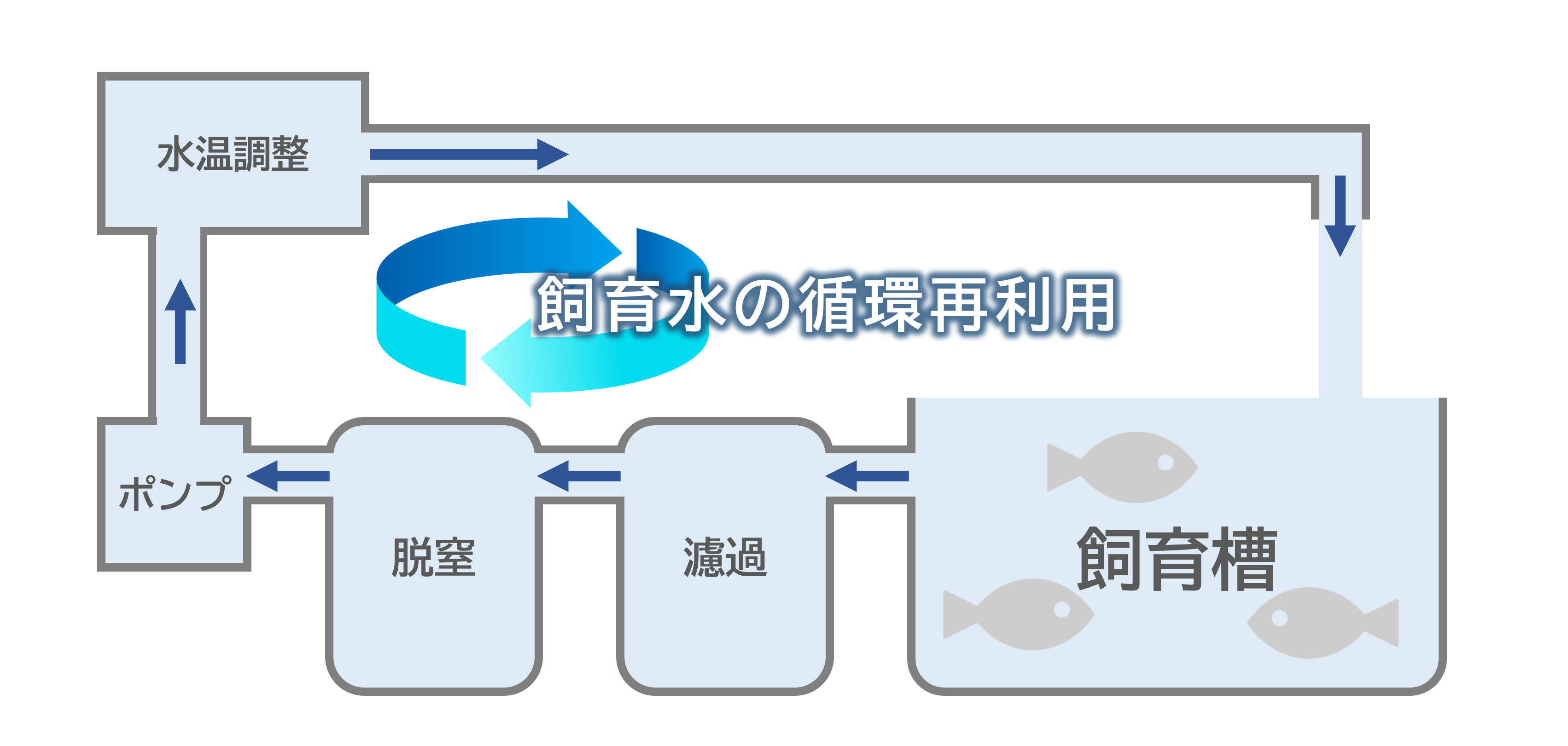 男鹿市の温浴施設跡地を活用し、地域活性化をめざす新会社「株式会社男鹿なまはげ魚工房」の事業発表会を実施しますのサブ画像2_（図１）閉鎖循環式陸上養殖イメージ