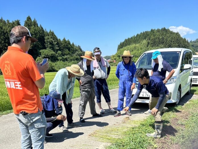 【新潟県】水稲栽培の課題を解決！農機具王「アグリスイッチ」が肥料設計セミナーを開催～収量アップとコスト削減を両立する方法とは～のメイン画像