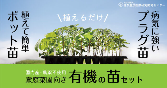 【予約受付中!!】家庭菜園向き「有機の苗アソート」　 24本ポット苗・50本プラグ苗 （公益財団法人 自然農法センター）のメイン画像