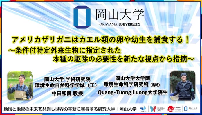 【岡山大学】アメリカザリガニはカエル類の卵や幼生を捕食する！～条件付特定外来生物に指定された本種の駆除の必要性を新たな視点から指摘～のメイン画像