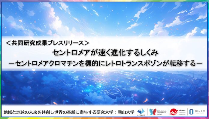 セントロメアが速く進化するしくみ－セントロメアクロマチンを標的にレトロトランスポゾンが転移する－〔東京大学,国立遺伝学研究所,北海道大学,岡山大学,京都産業大学〕のメイン画像