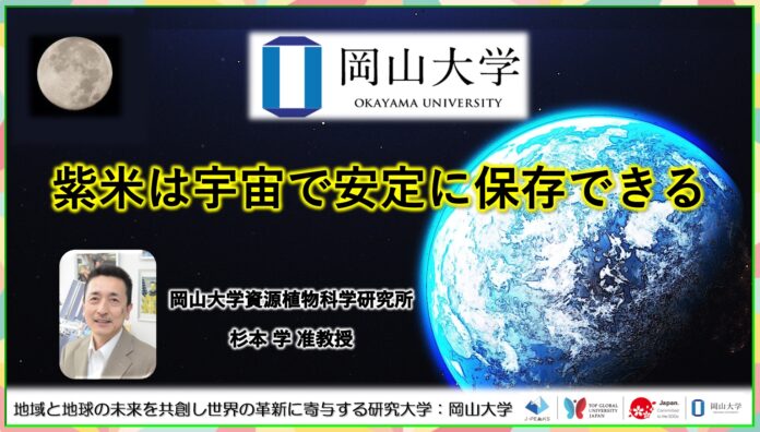 【岡山大学】紫米は宇宙で安定に保存できるのメイン画像