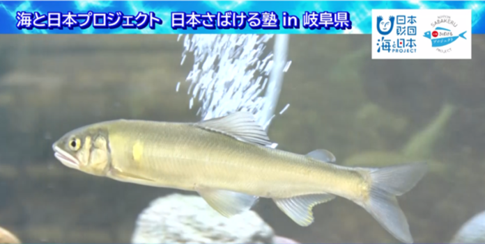 川と海を行き来する県魚「鮎」をさばいて“海の恵み”を知る『日本さばける塾 in 岐阜県』を開催のメイン画像