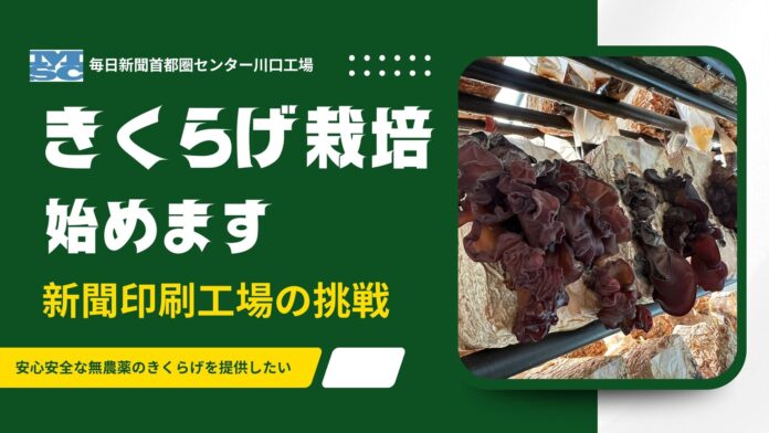 埼玉県川口市の新聞印刷工場がきくらげ栽培に新規参入、本格栽培始まる【東日印刷グループ 毎日新聞首都圏センター】のメイン画像