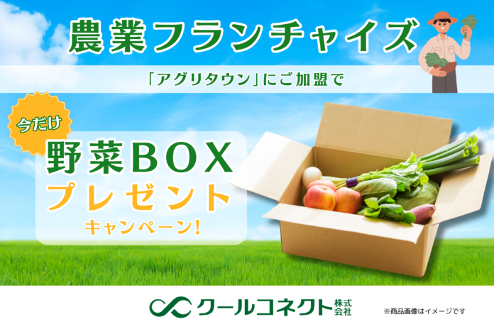 農業フランチャイズ「アグリタウン」、2周年を記念した野菜BOXプレゼントキャンペーン開始のお知らせのメイン画像