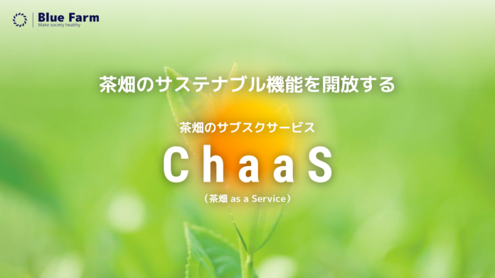 茶畑を持つことで、未来を変える。『環境価値創出型サブスクサービスChaaS』を提供開始のメイン画像