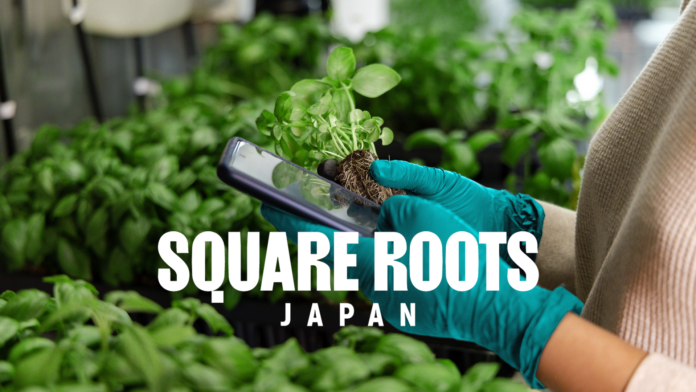 【日本の農業を世界へ】キンバル・マスク氏率いる米国のSquare Rootsが日本初進出、最先端の屋内農業技術で未来を切り拓くのメイン画像