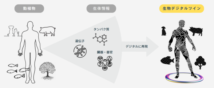 アクセライズ、生物デジタルツインによる研究開発支援を開始、Karydo Therapeutixと提携のメイン画像