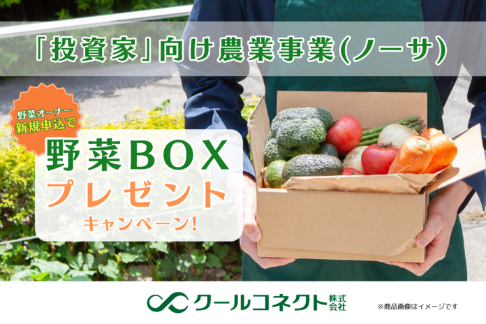 「投資家」向け農業事業（ノーサ）、新規契約で野菜BOXプレゼントキャンペーン開始のお知らせのメイン画像