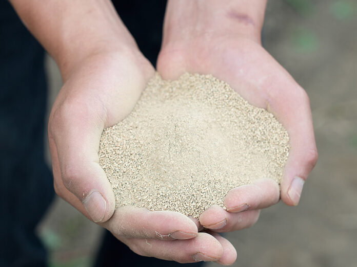 高まる需要に応え、国産「菌根菌」生産量拡大のメイン画像